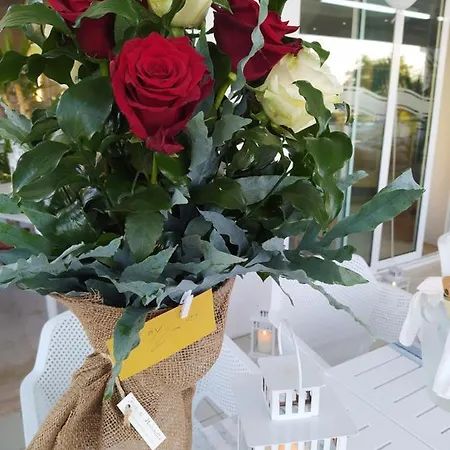 Elios Hotel Bellaria-Igea Marina